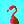 A Bird