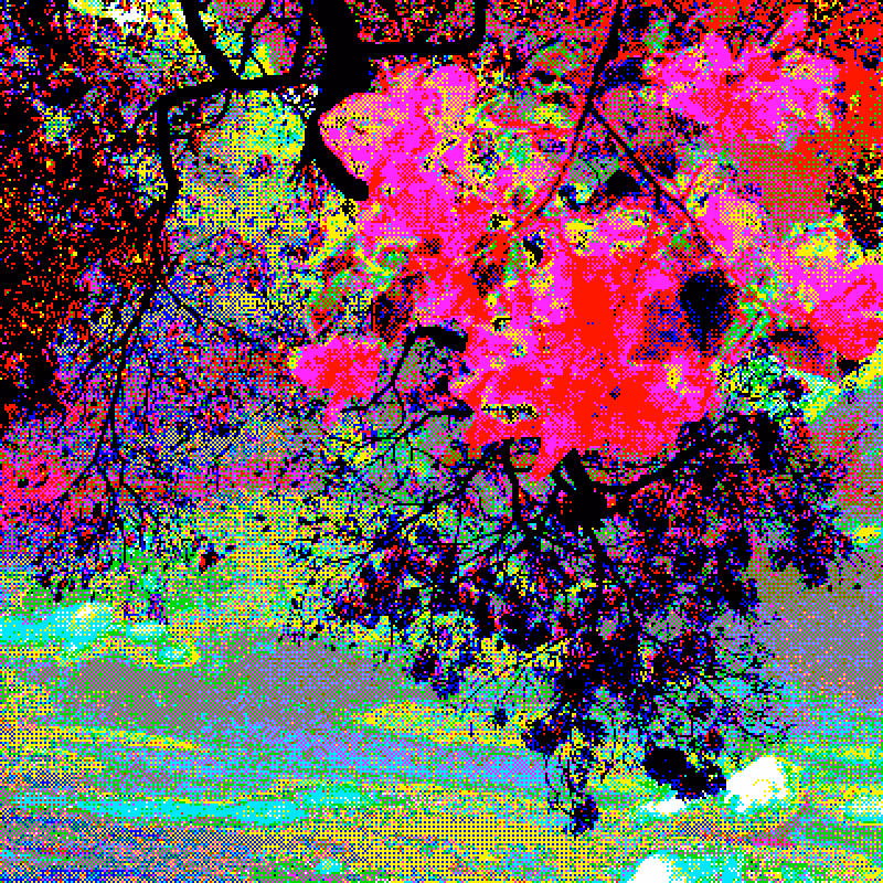Garden of the republic ✿ #2