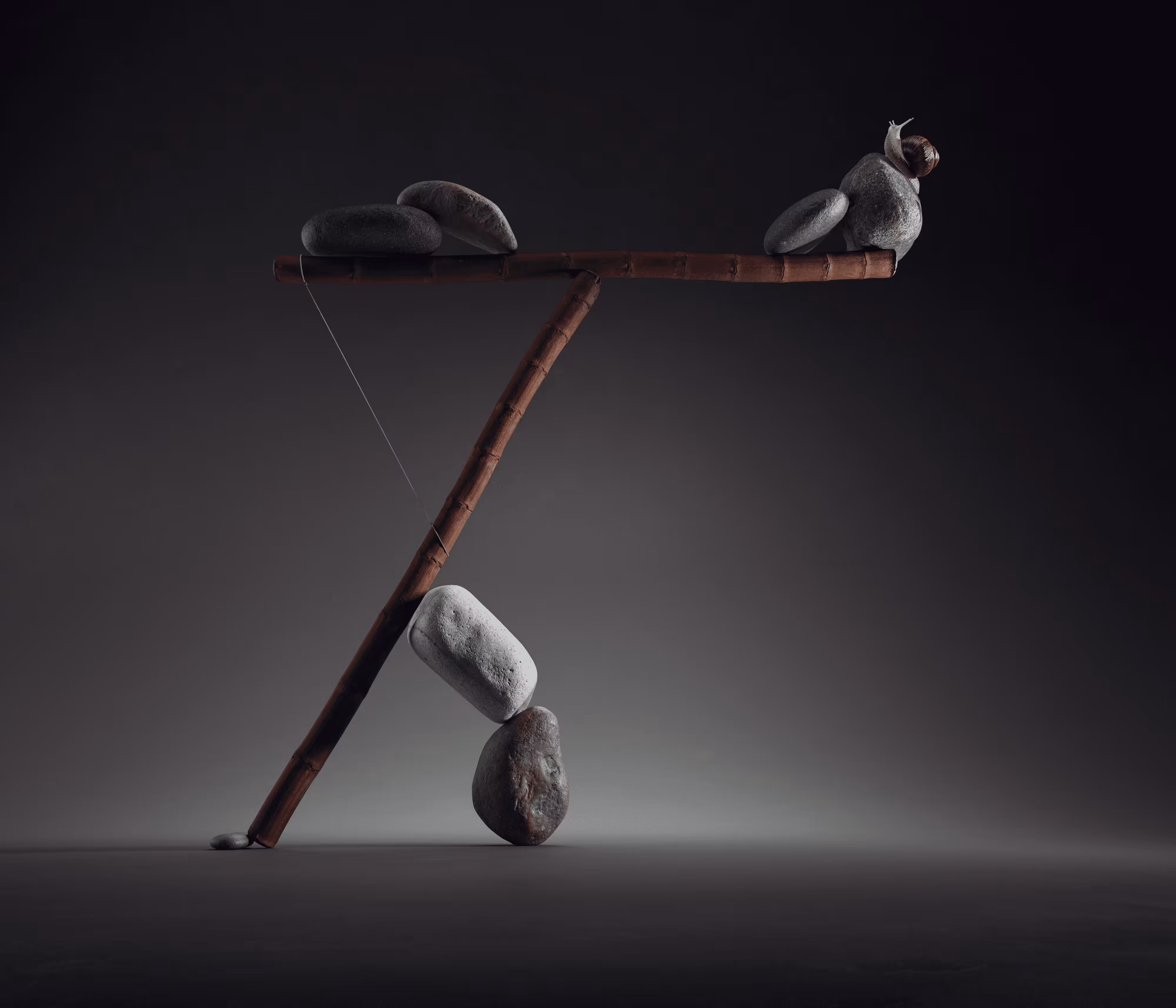 Balancing Act 5