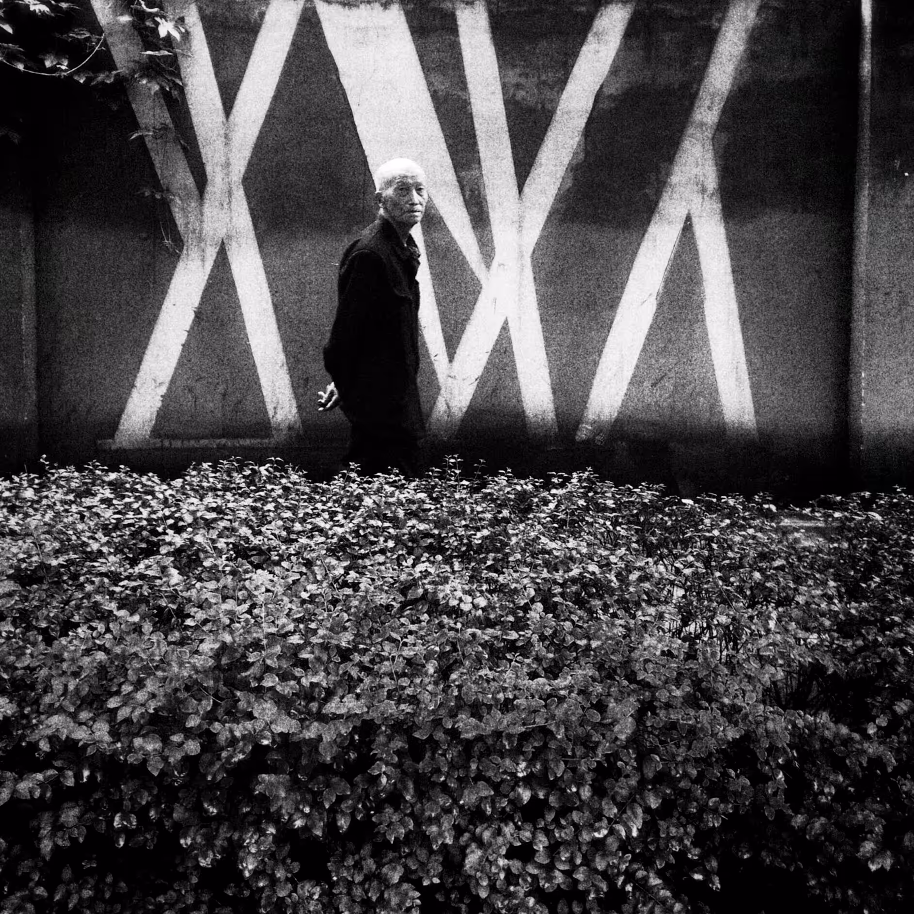 BWChina #18