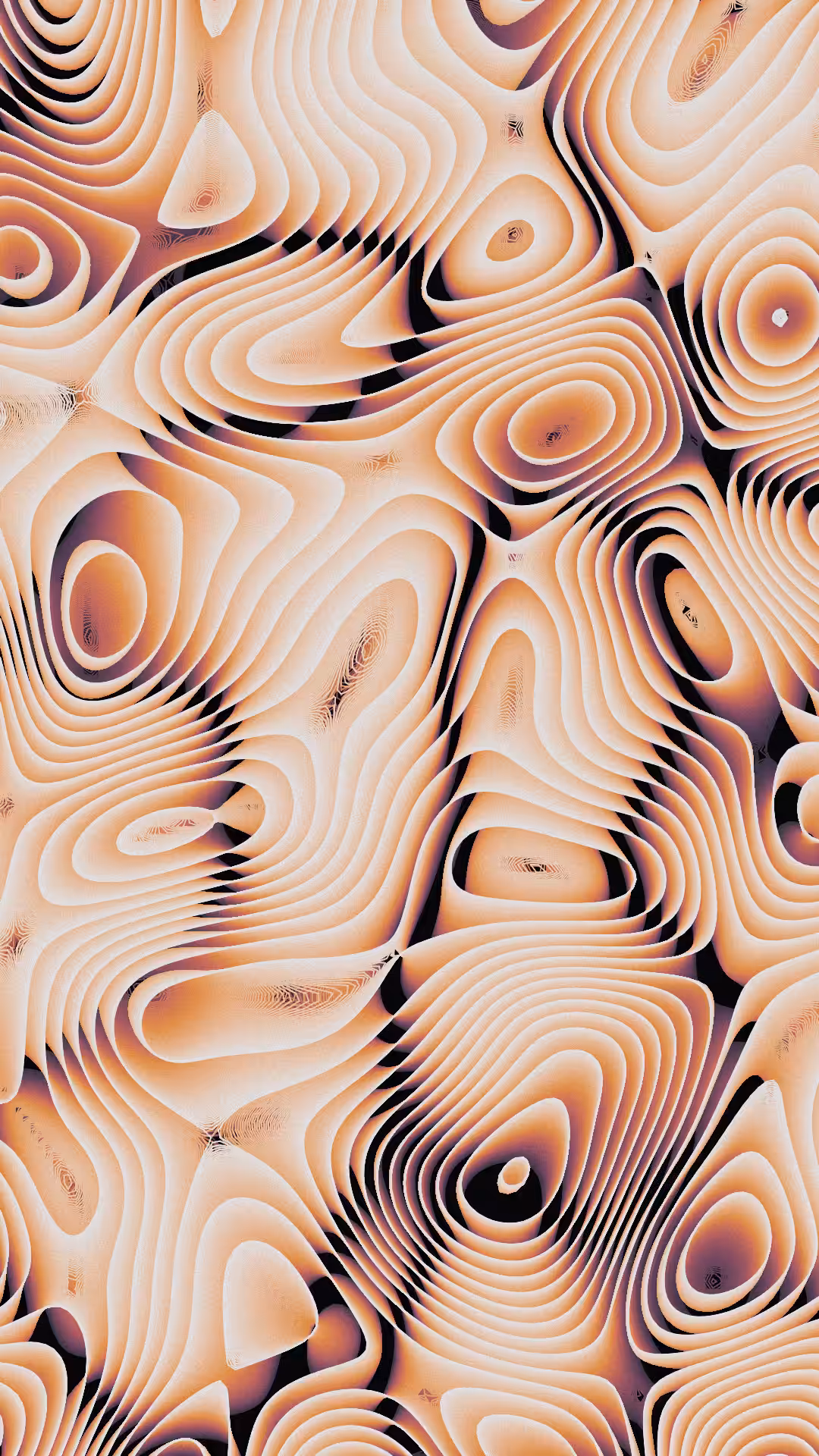FLUID / Announcement