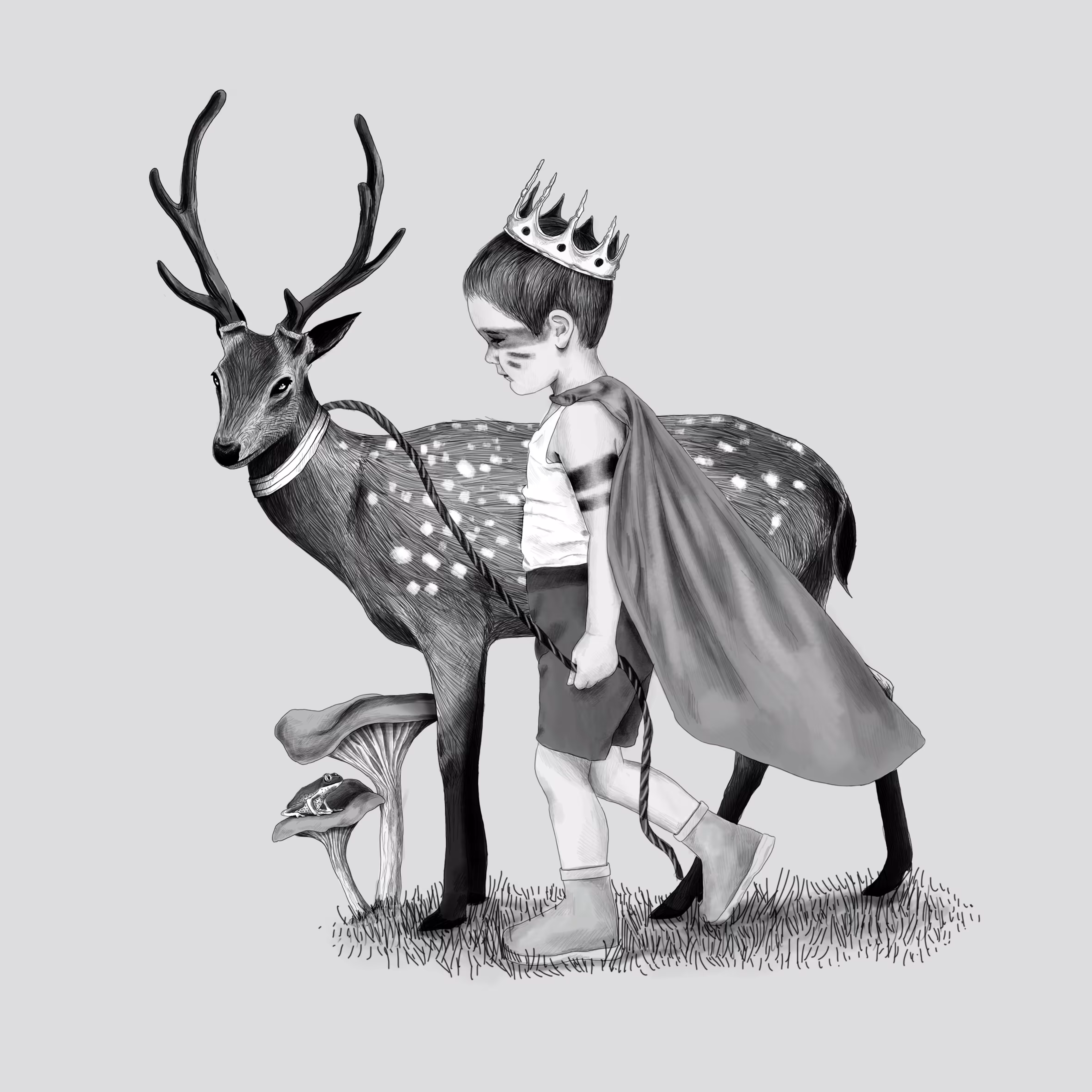 The Little Prince 