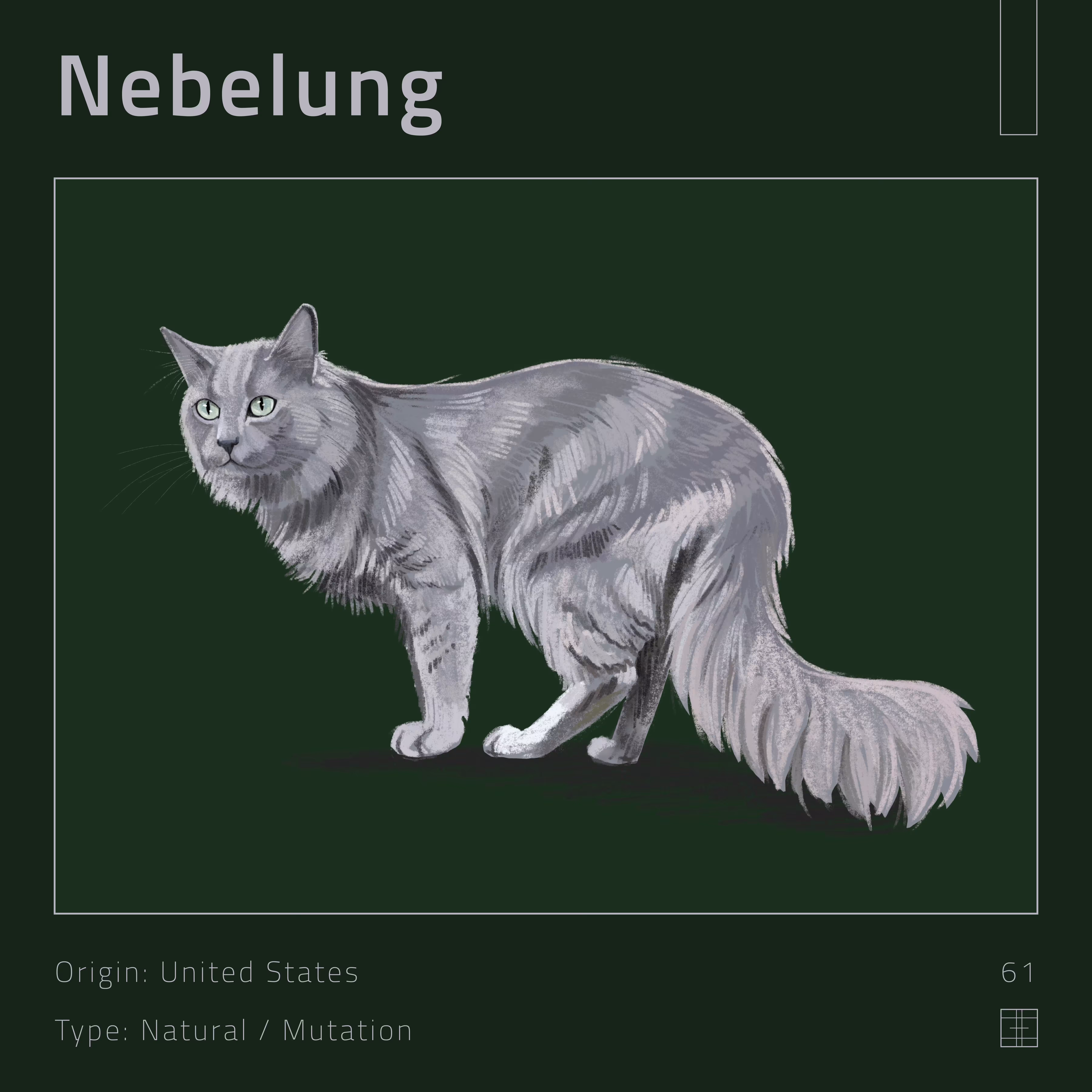 61 – Nebelung