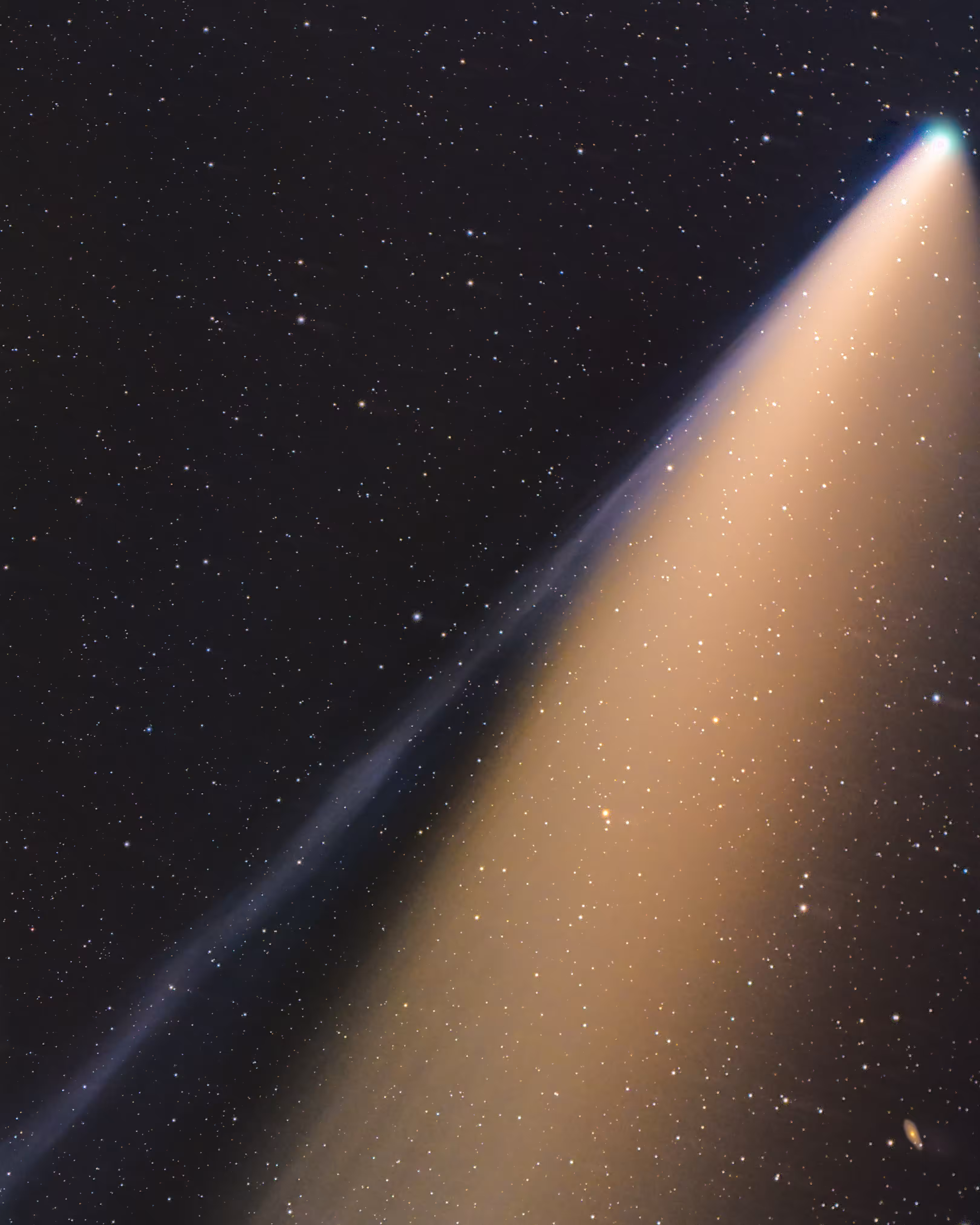 Neowise