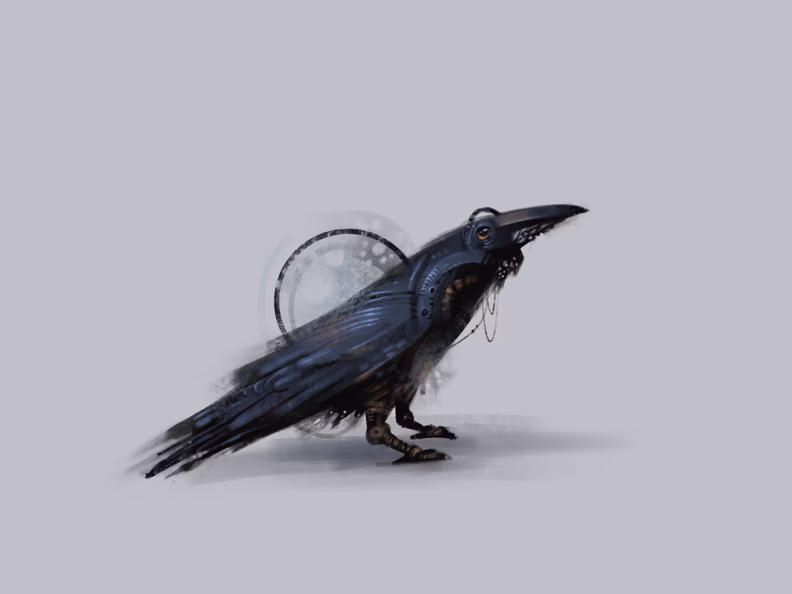 my collection: angry crow