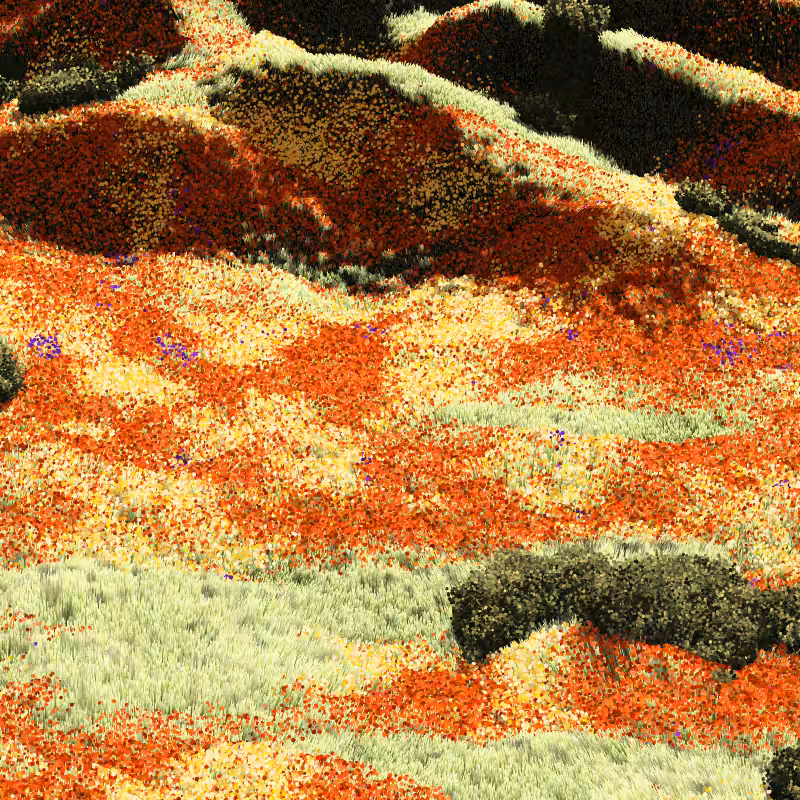 California Hills in Late Sun #49