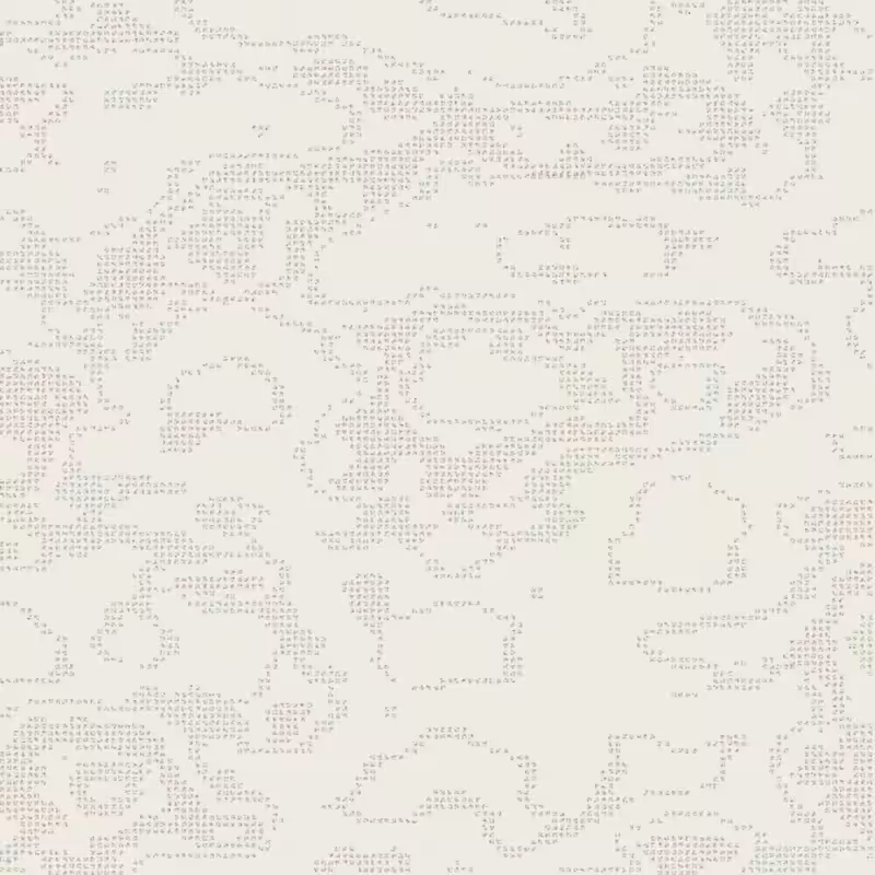 Petri 1500 #234