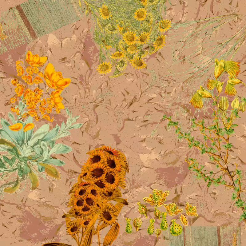 future flora from Antarctica's past #34