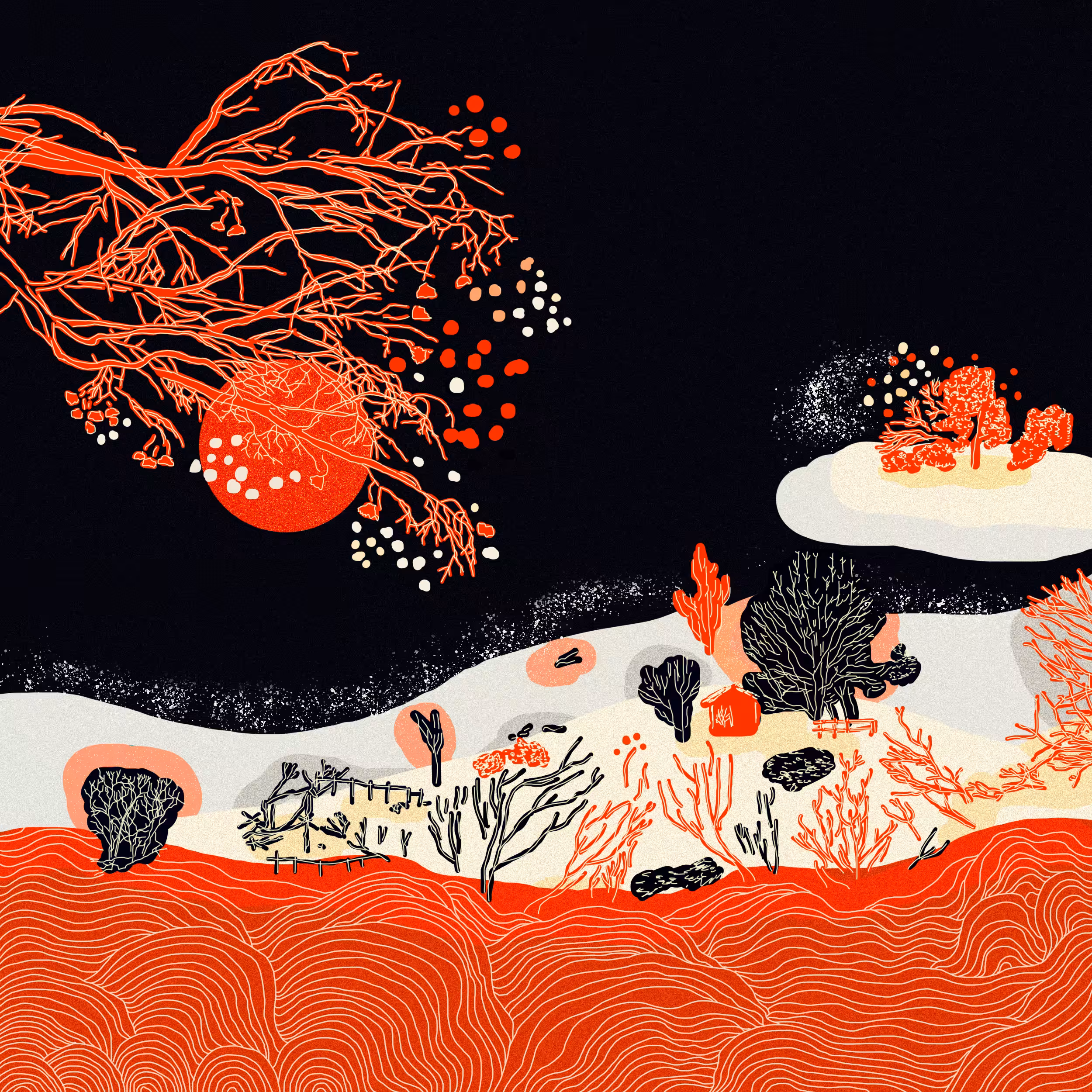 Red sun