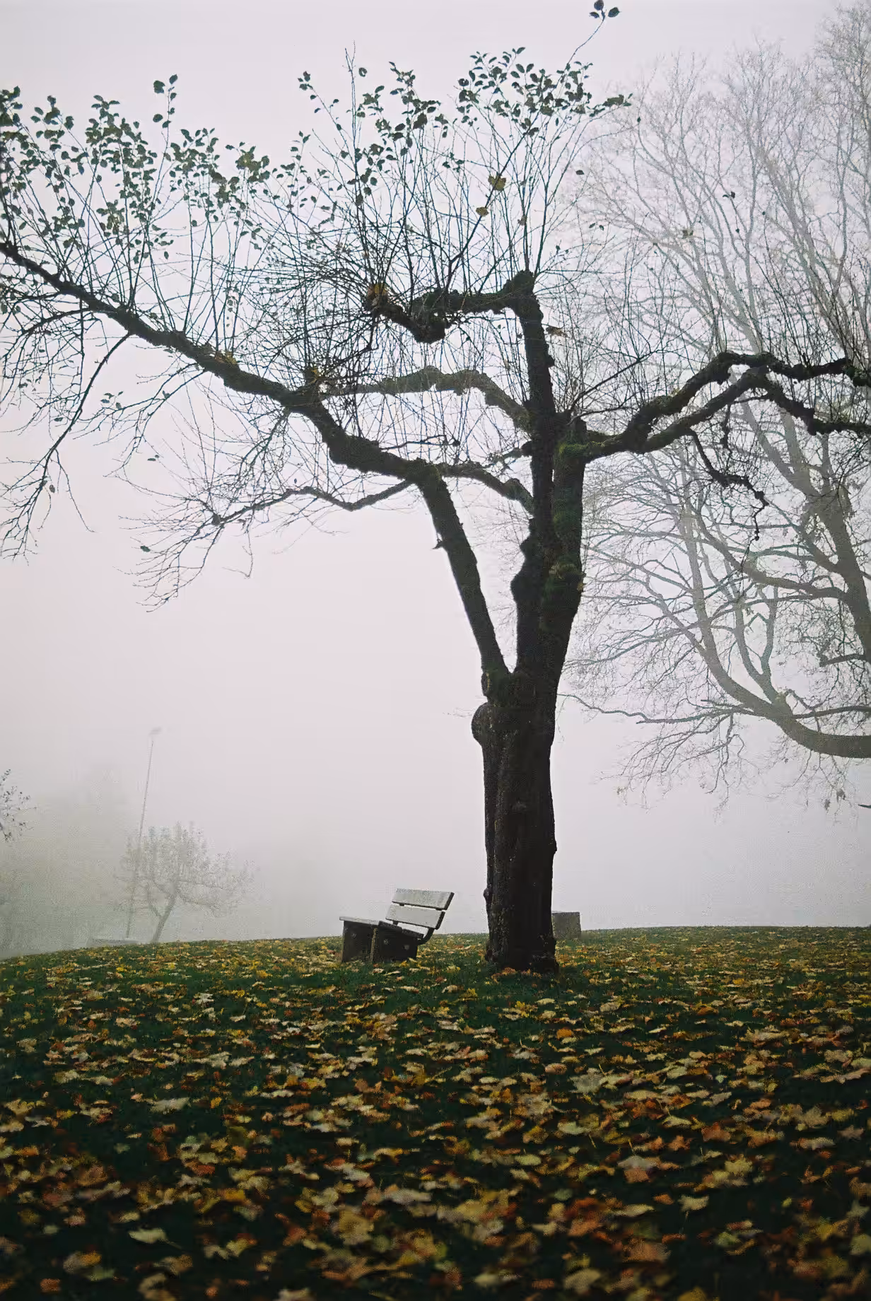 How do you deal with your vague self-comprehension's?