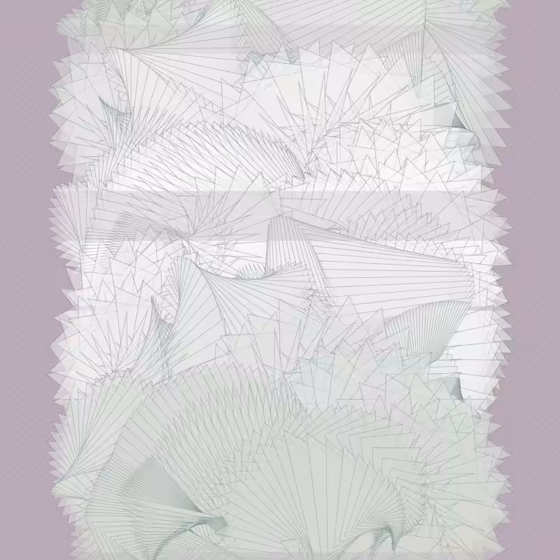 Braids/burdens #64