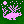 night_creature_06//bushcat