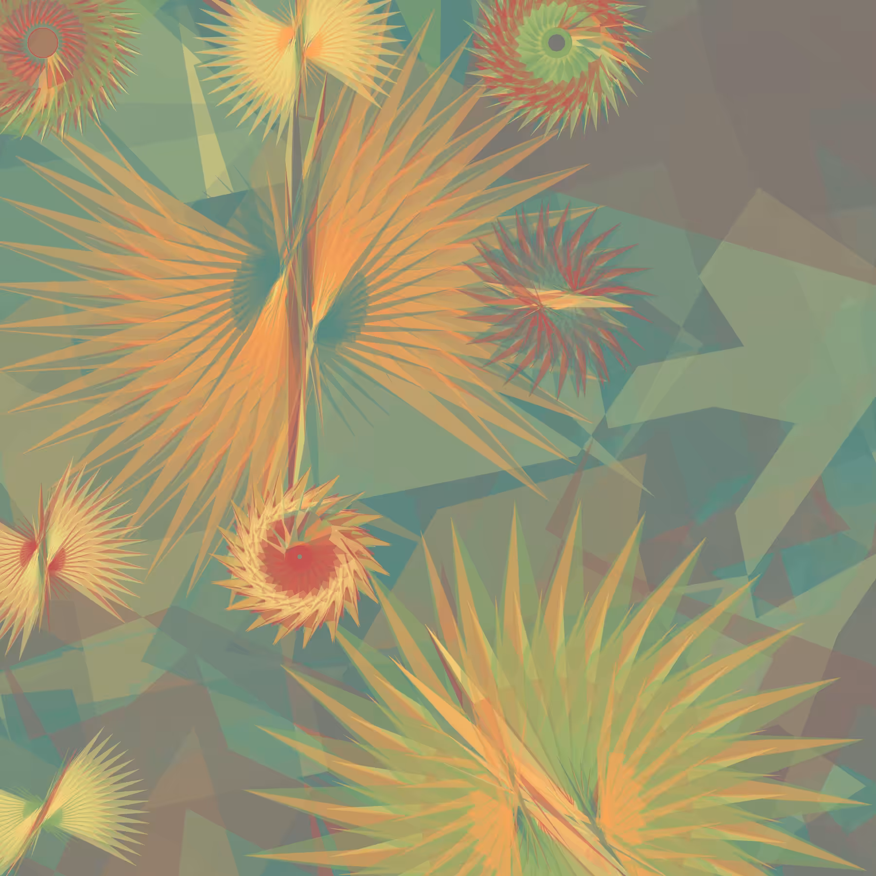 Tillandsia Lens #11