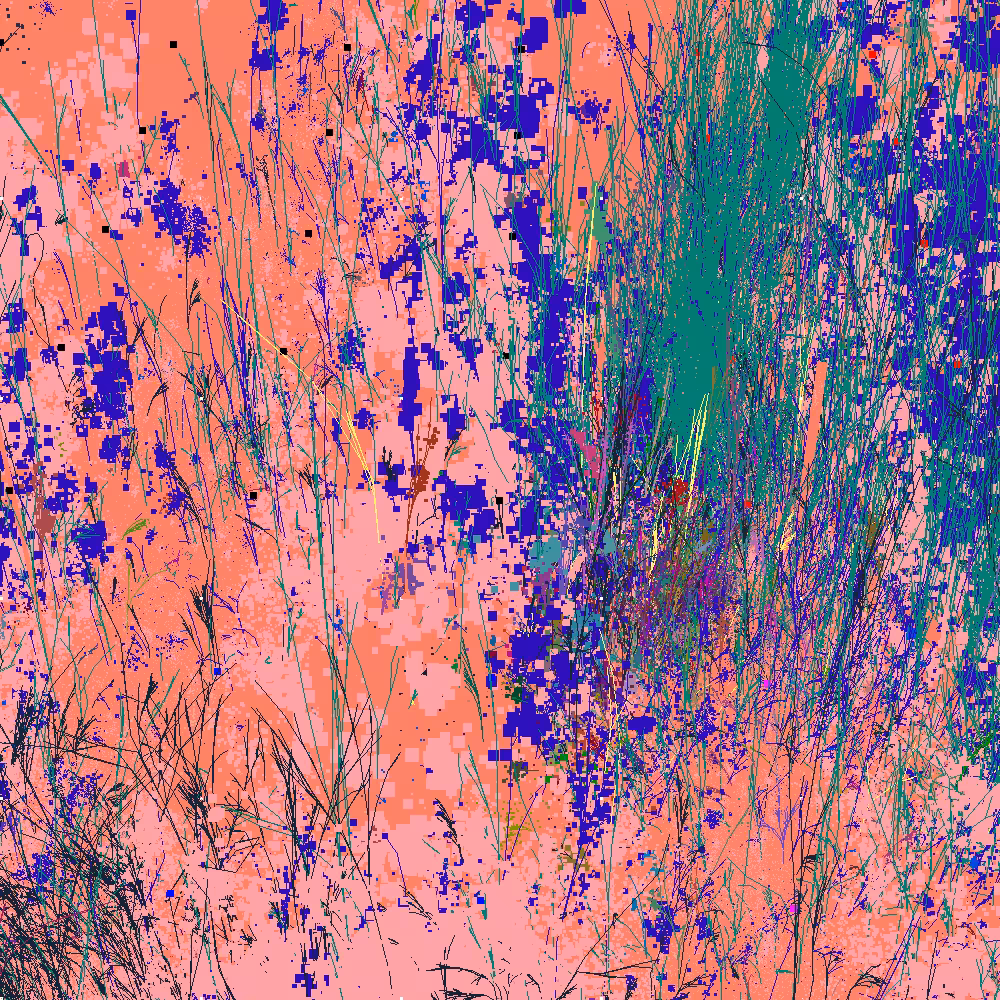 Infinite Garden: 63890 Flowers