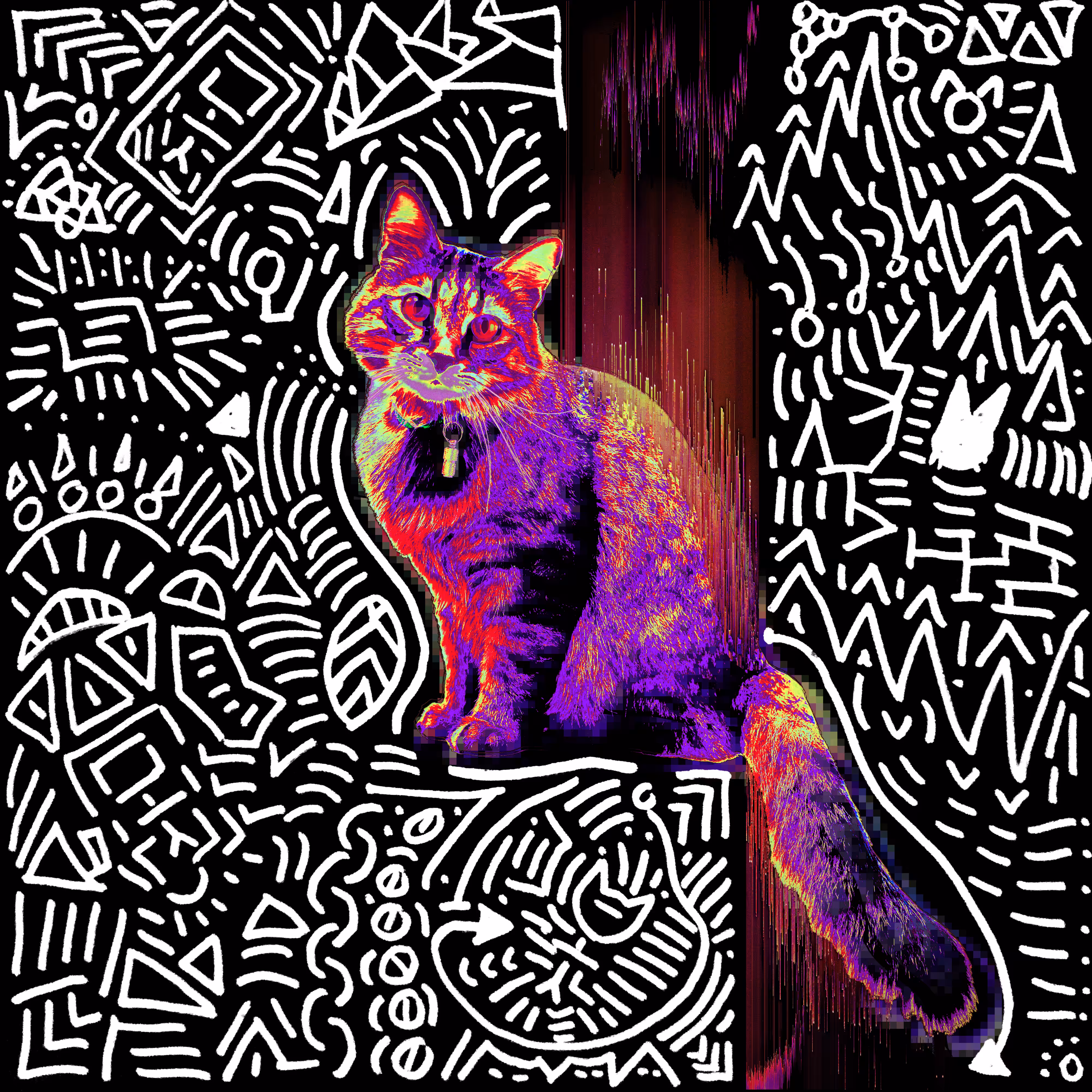 glitchCat (1)