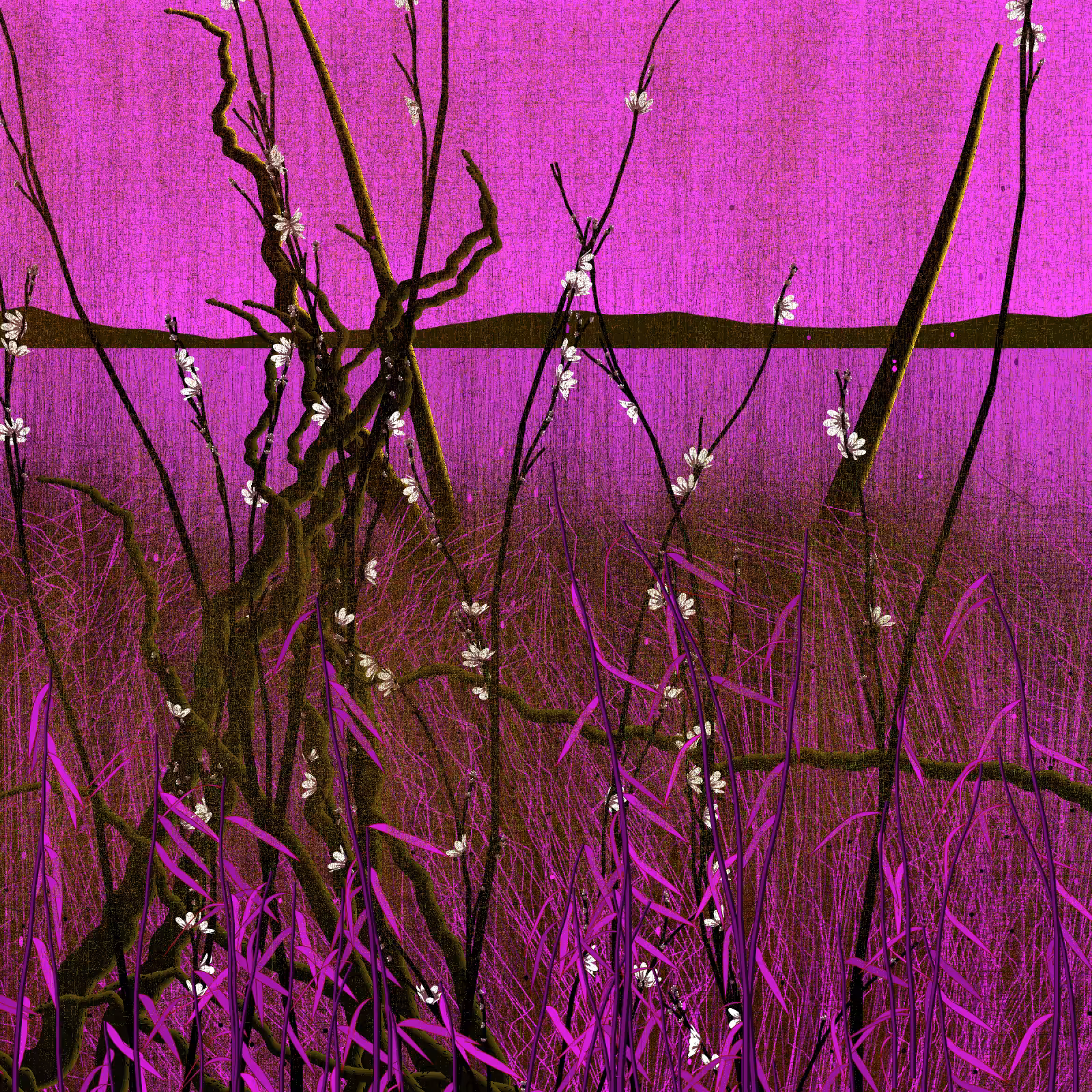 Dry twigs #29