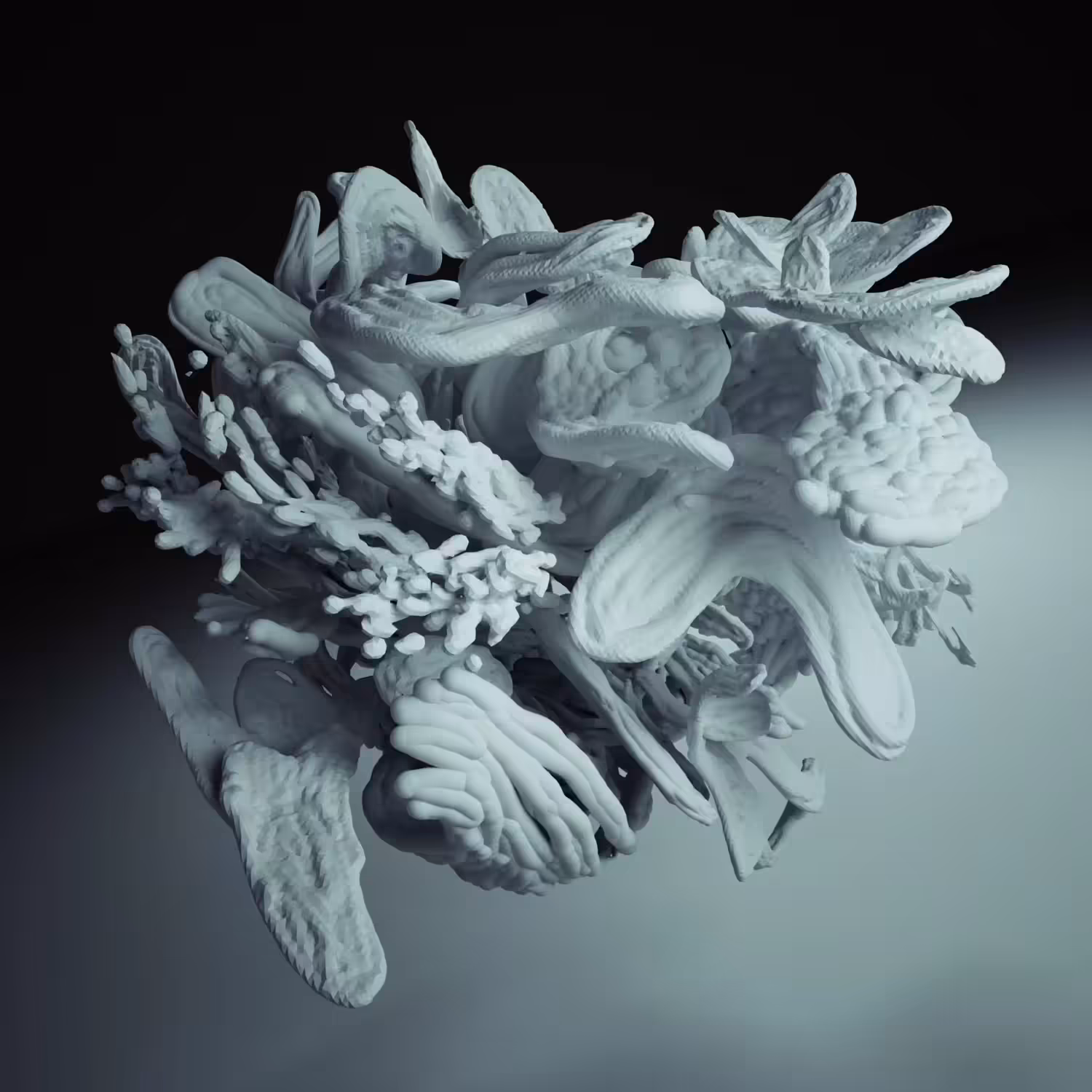 Veil 02