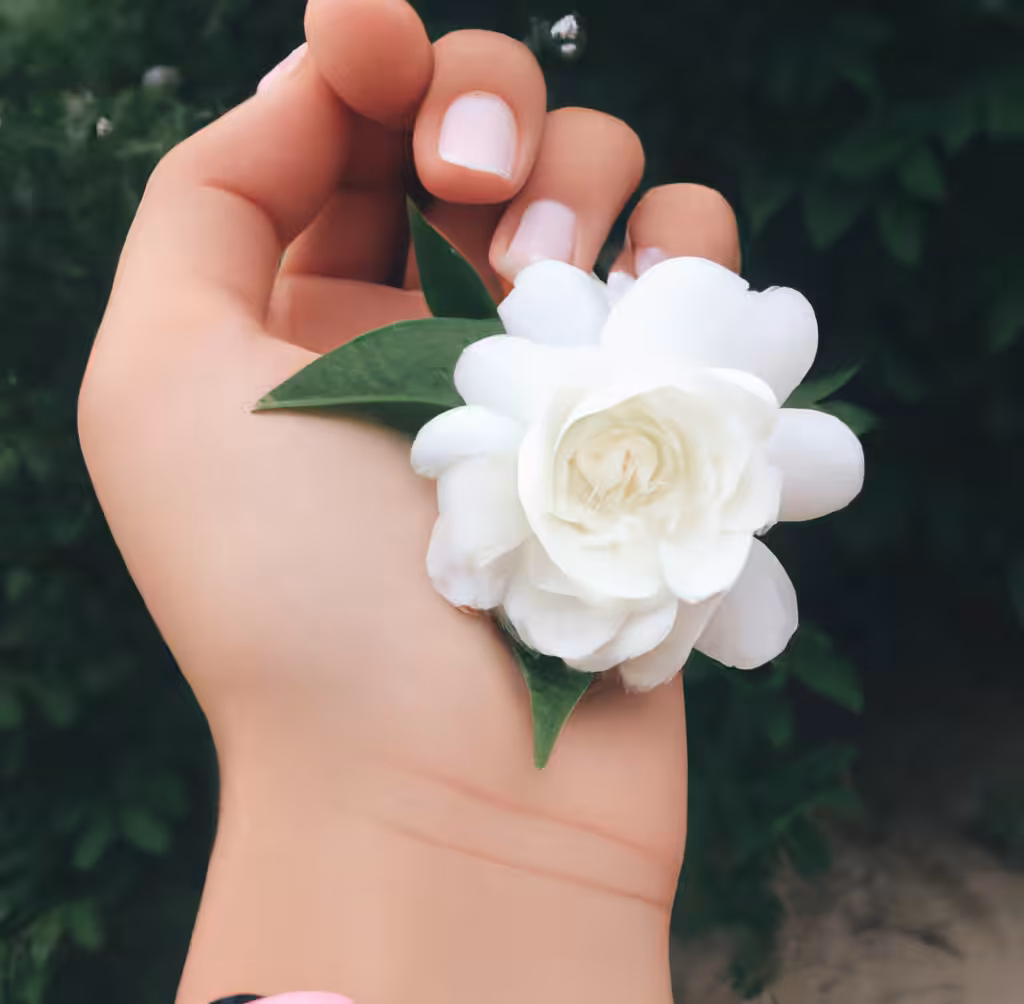 ♡ Just an AI girl ♡ 59
