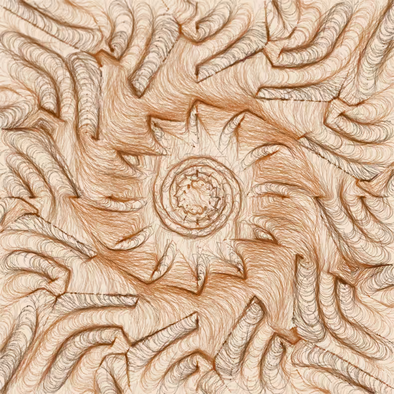 Field Sketch #152