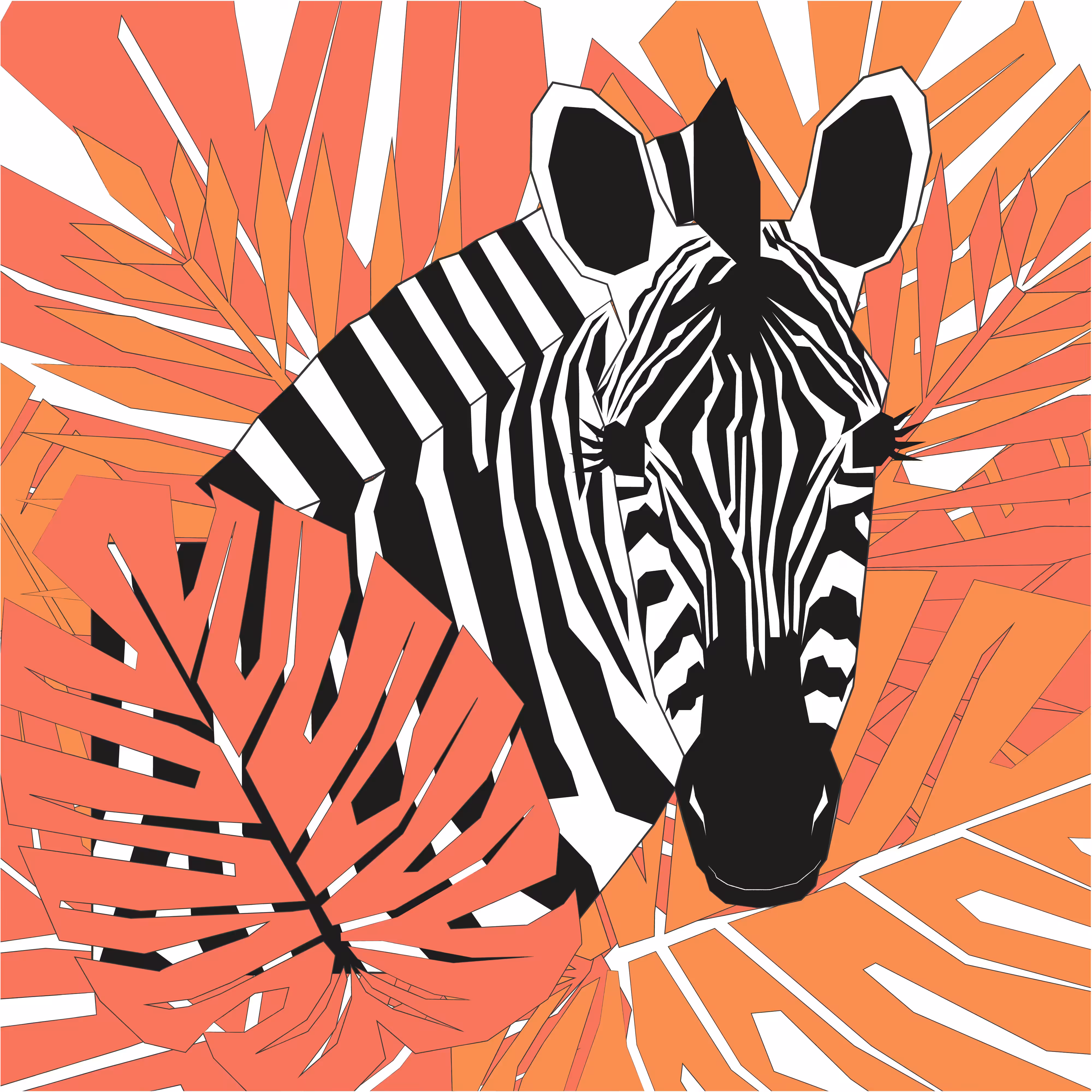zebra 01