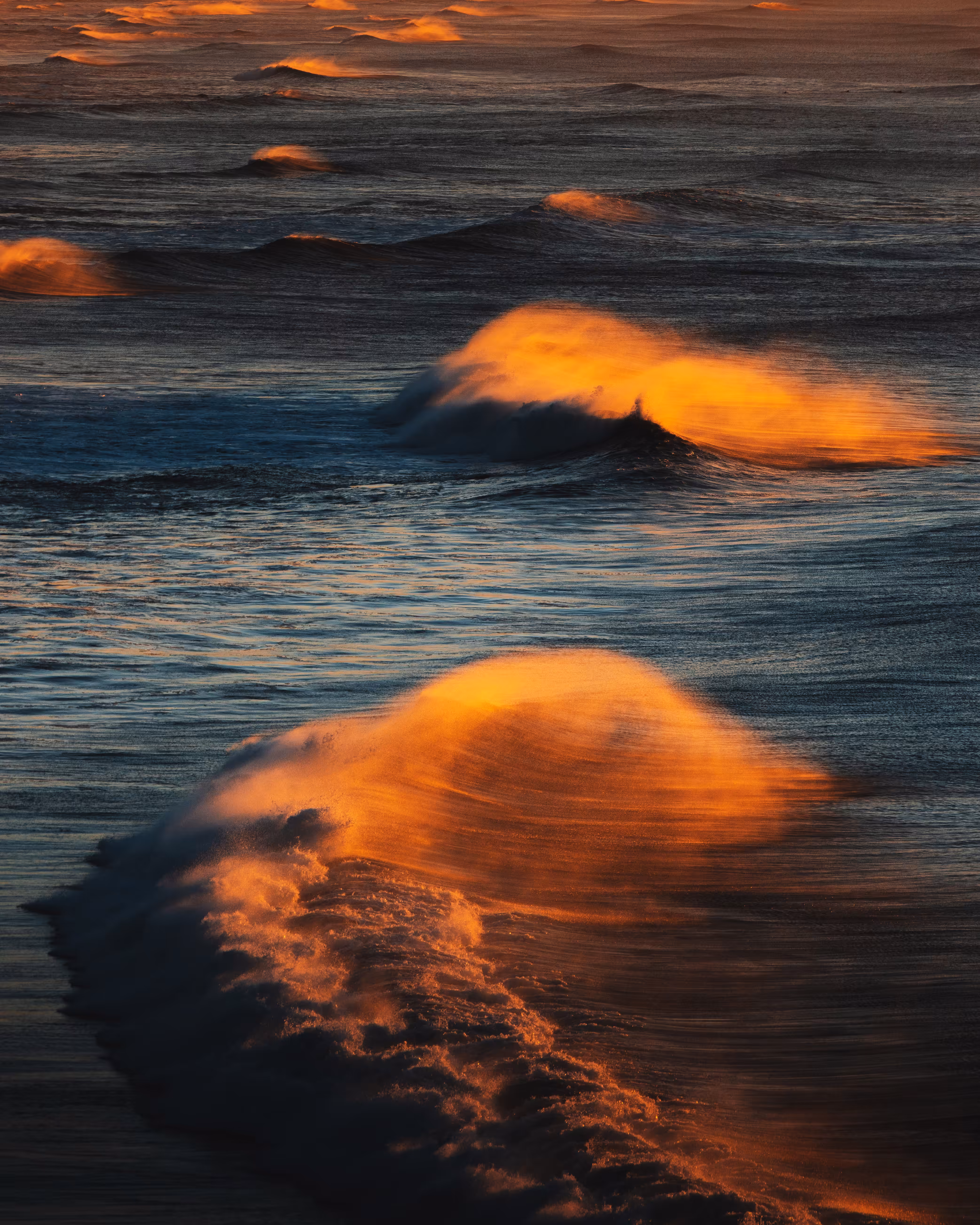 Golden Breeze