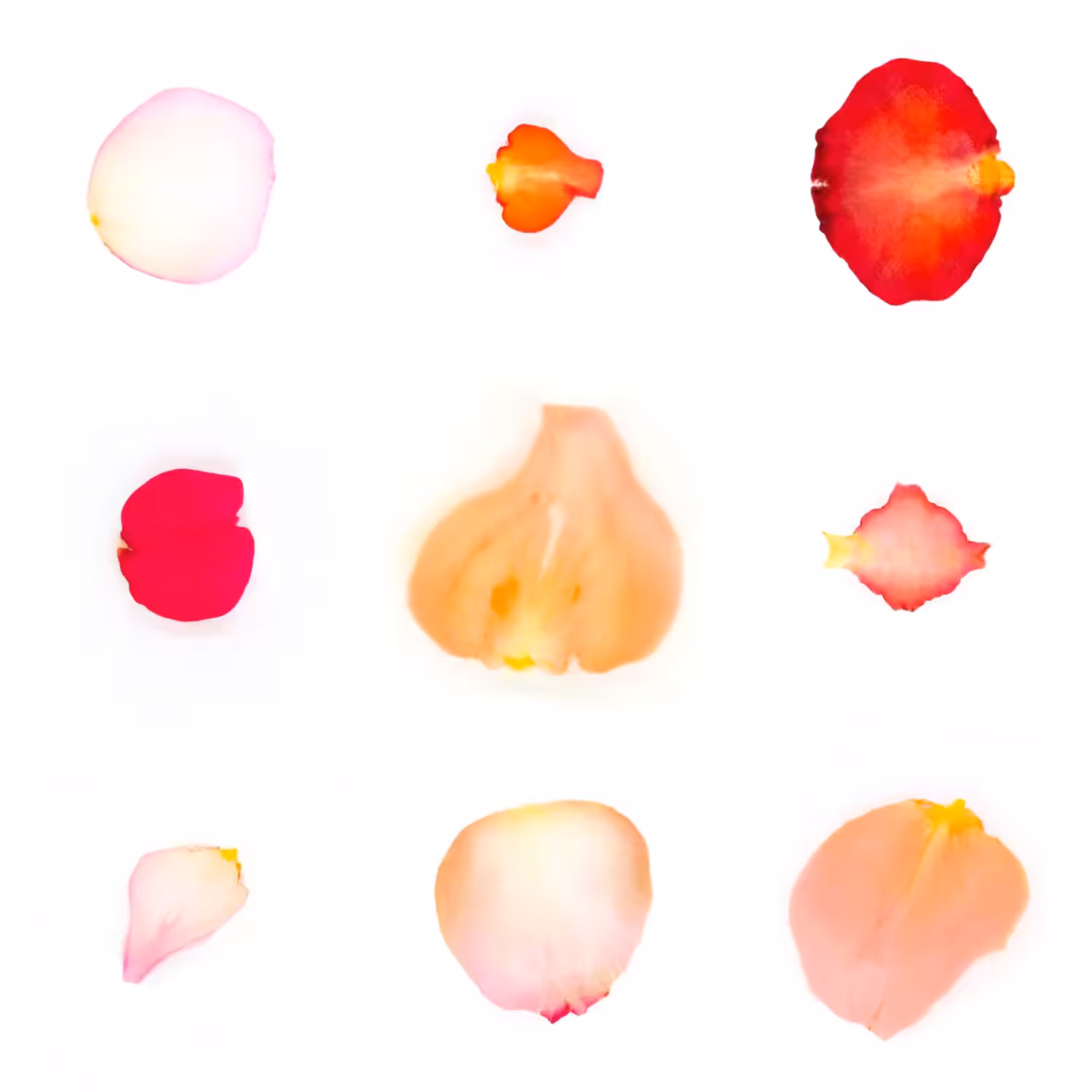 Infinite Petals 3x3#3833