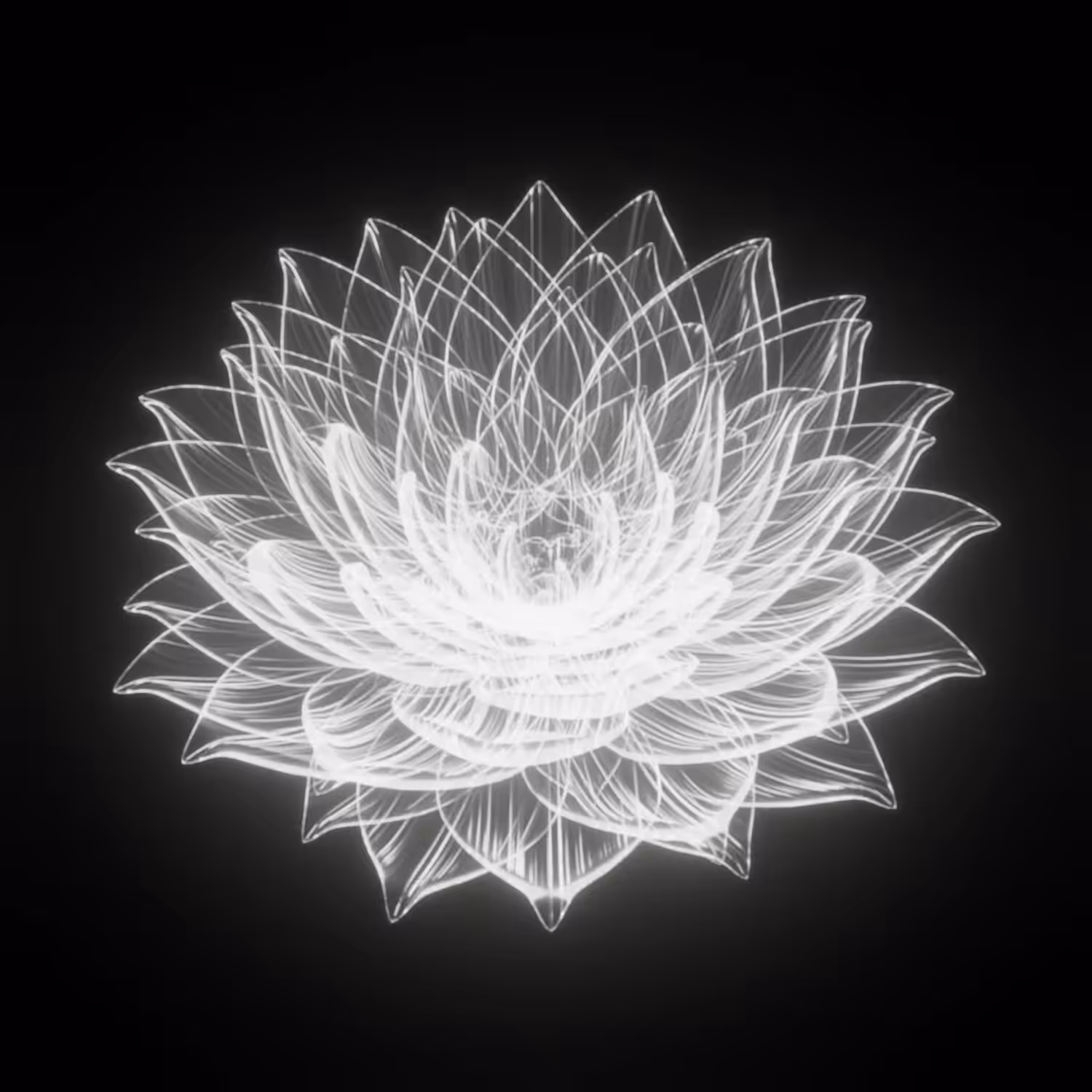 Eternal flowers: White hologram