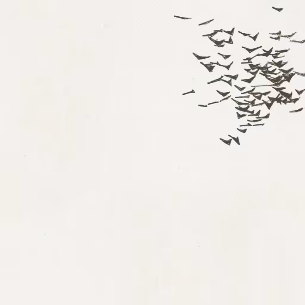 Flock