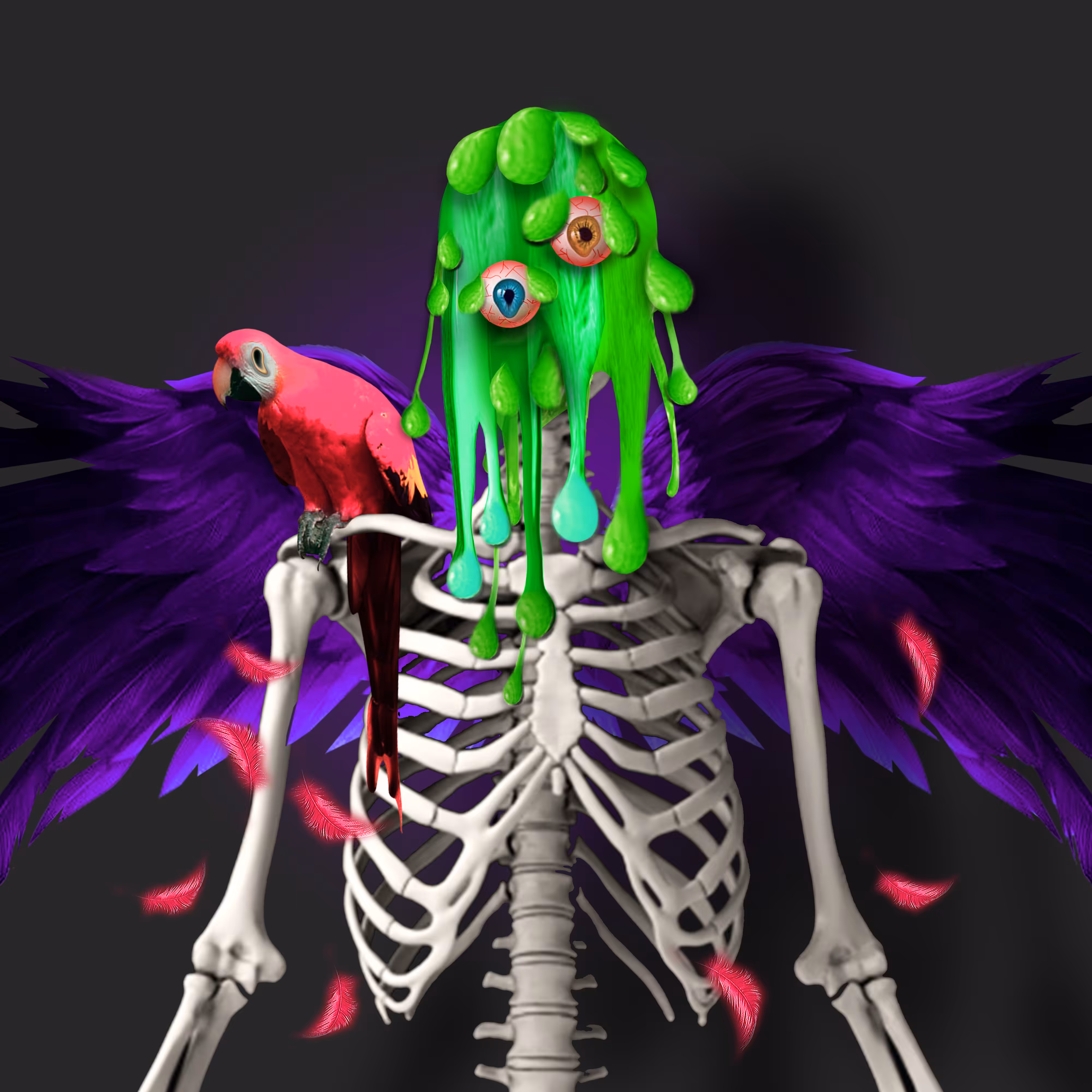Bird 