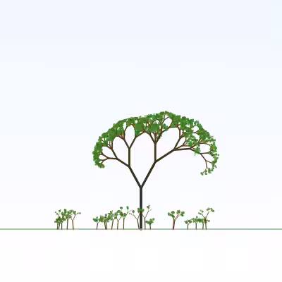 Arbre Fractal #0 #1