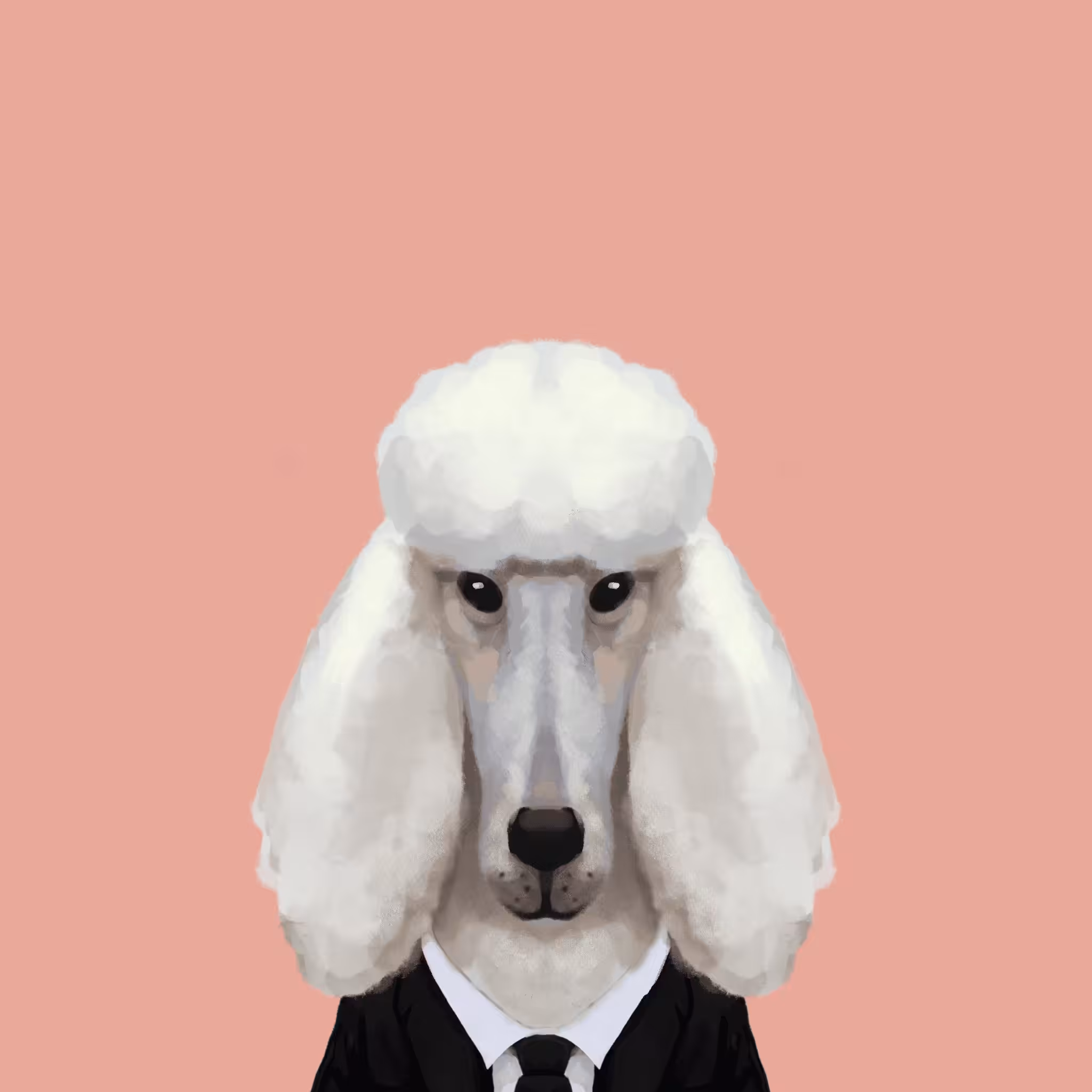 #021 poodle