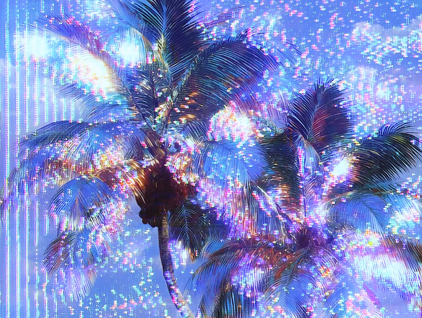 Palm Paradise