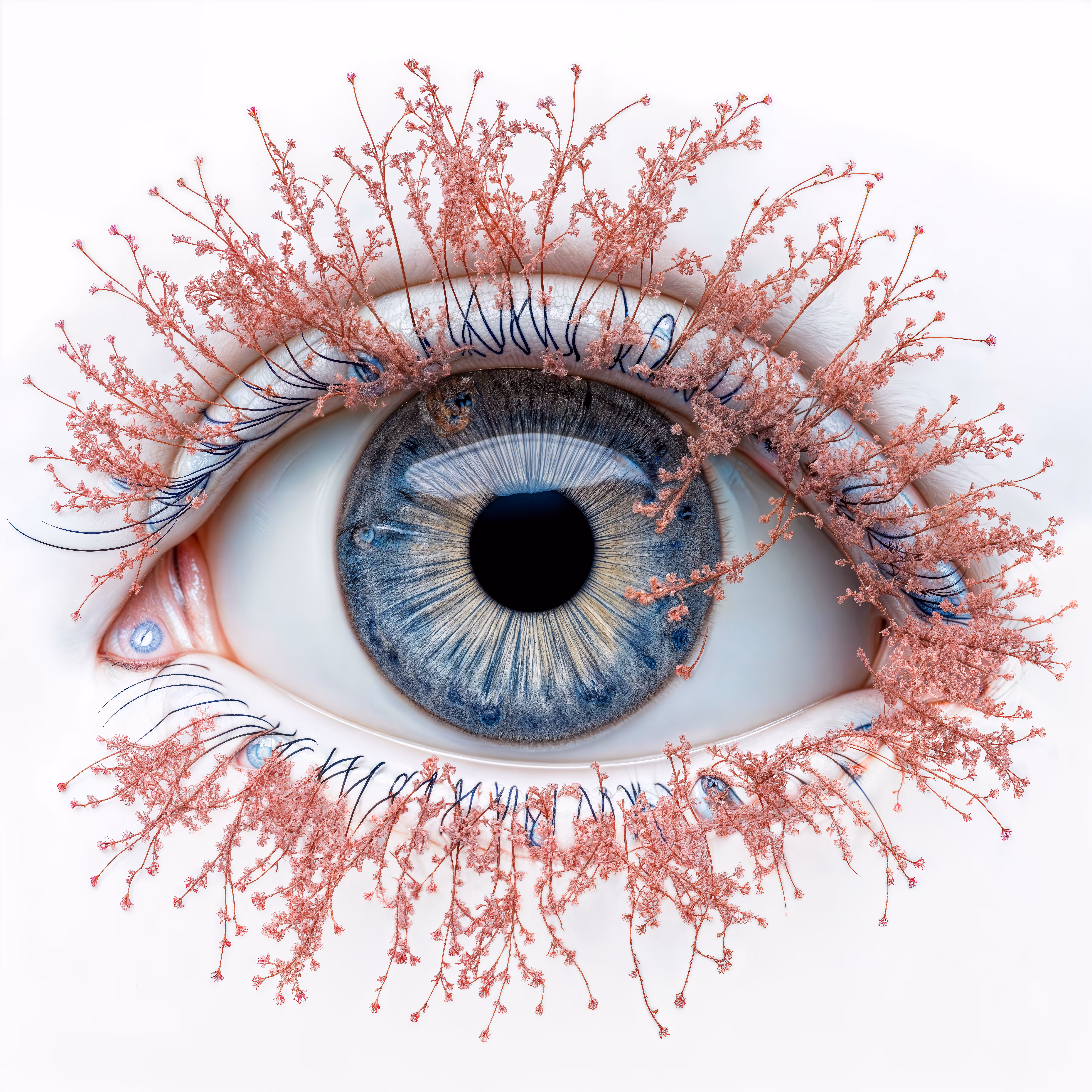 IRIS