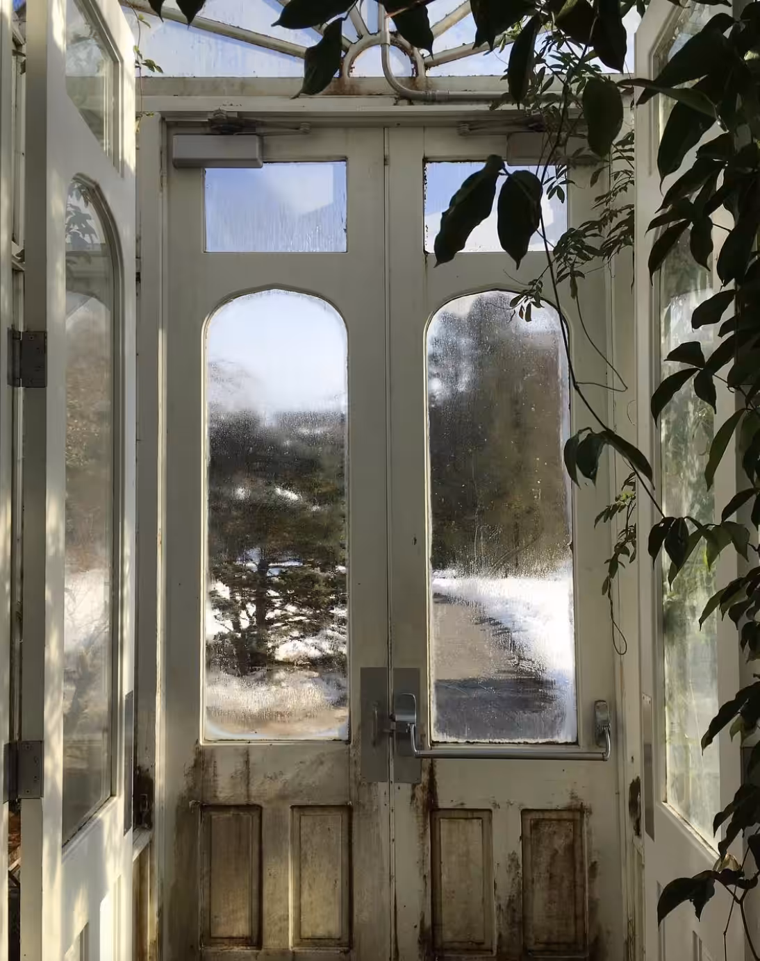 smith's greenhouse 