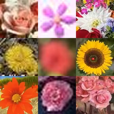 https://internet.flowers
