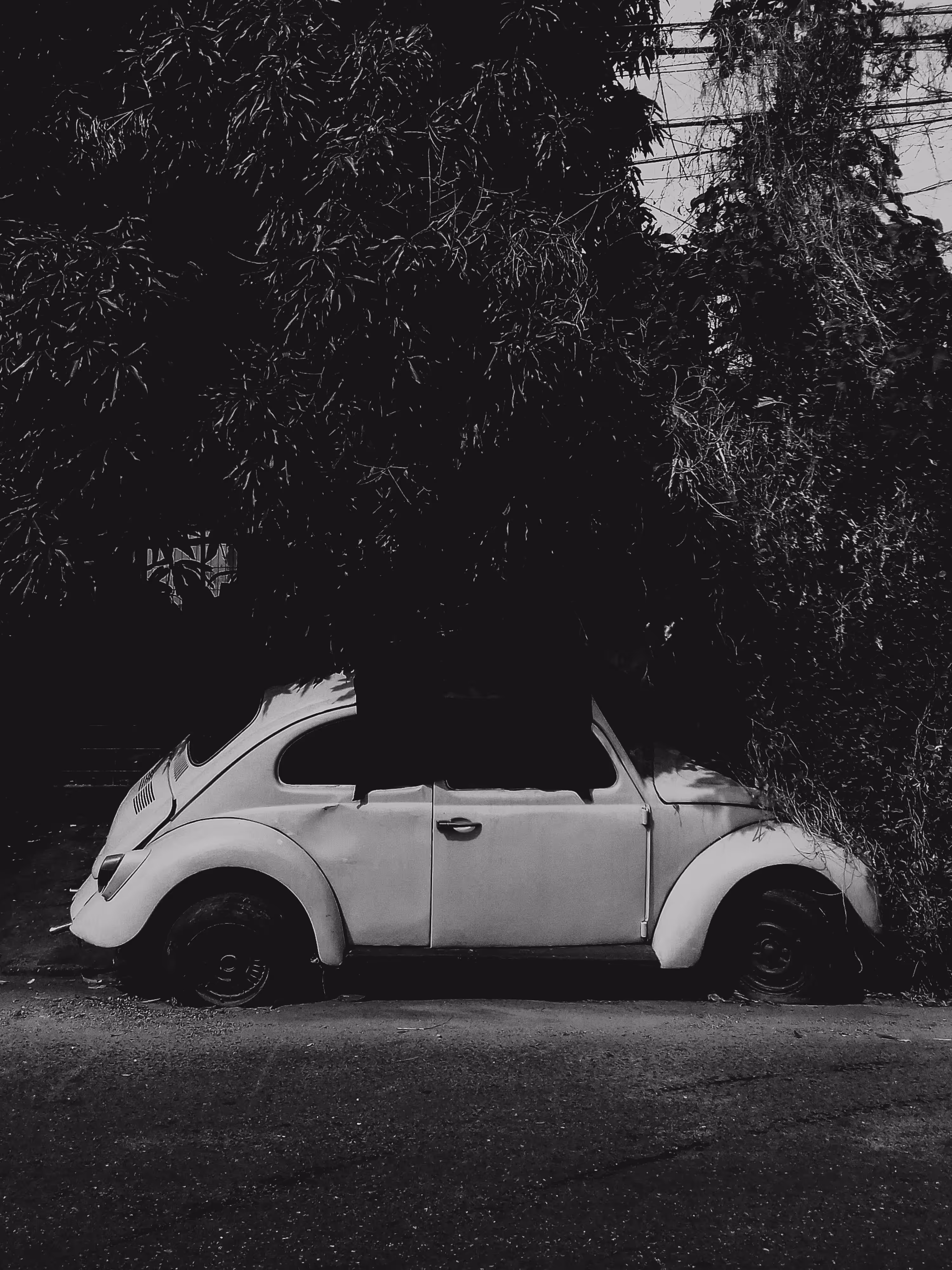 lost bug
