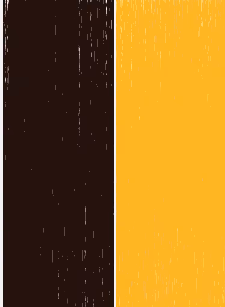 Generative Abstract Series #009