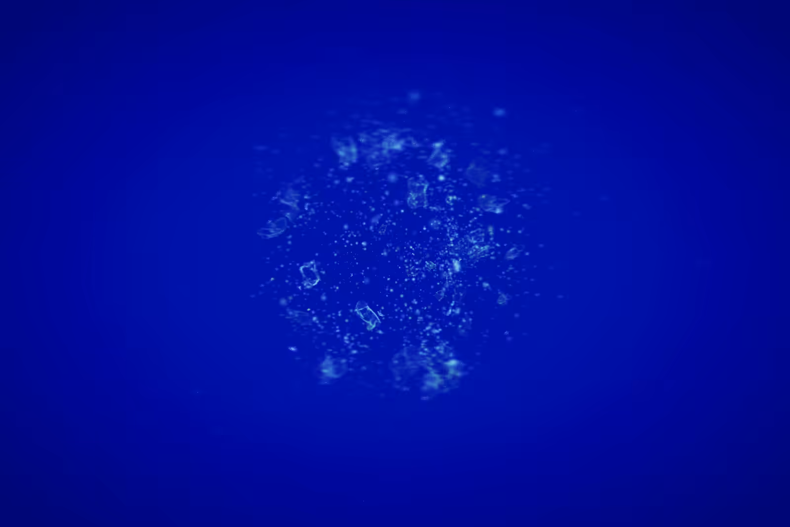 Turtle Vision #125