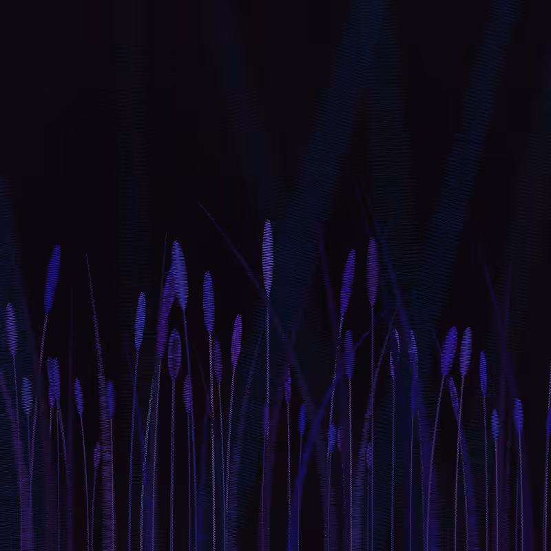 ZigZag Garden #55