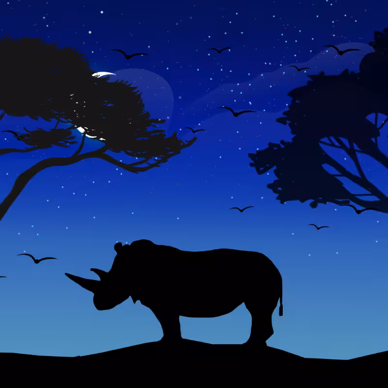 We Care...Rhinoceros #7