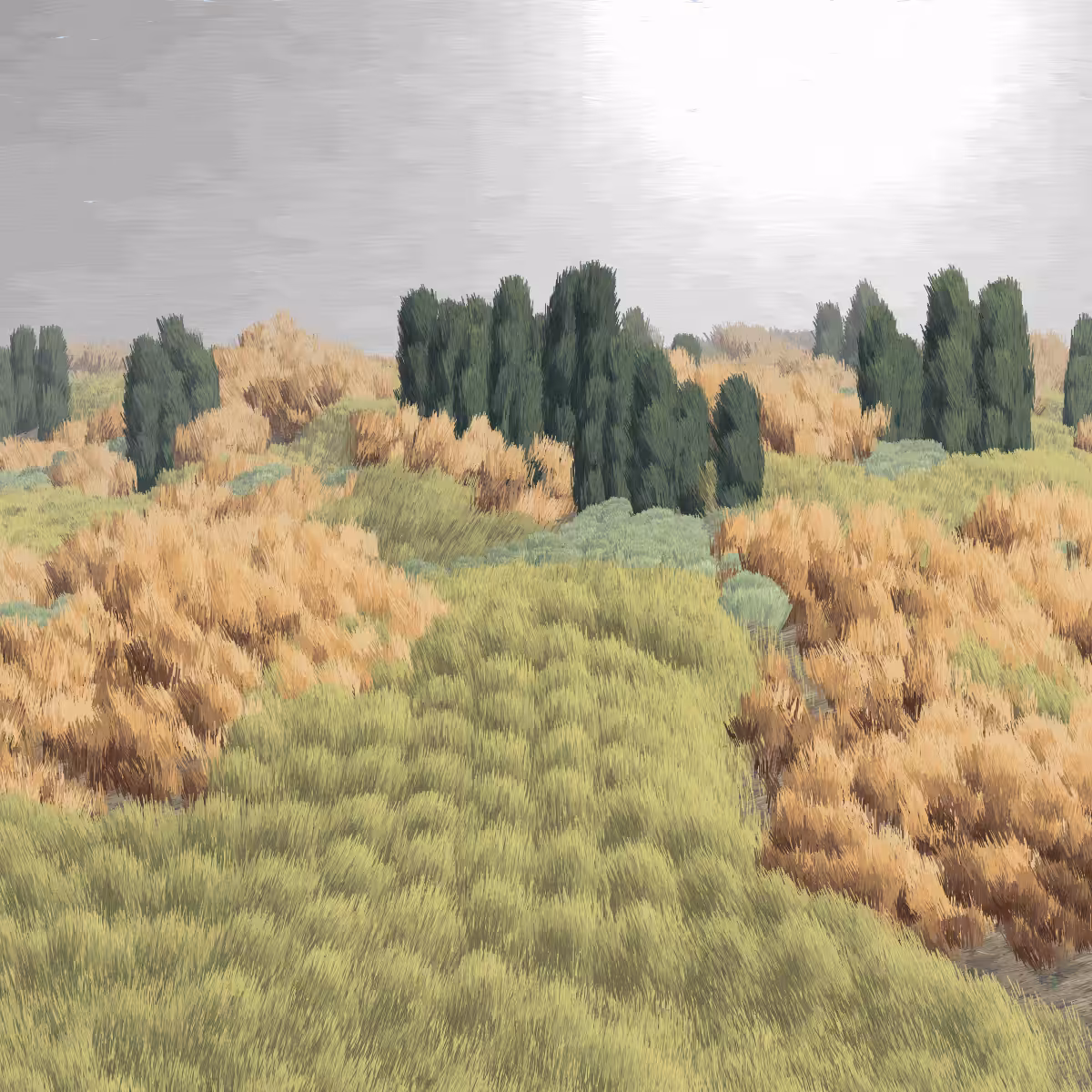 Provence #235