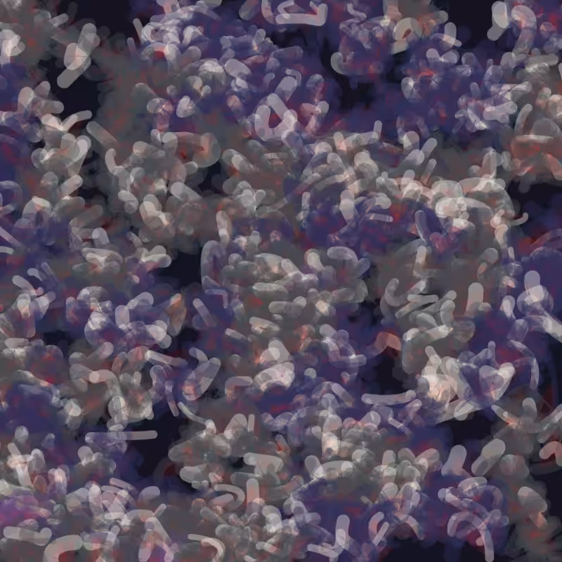Petri 1500 #1217