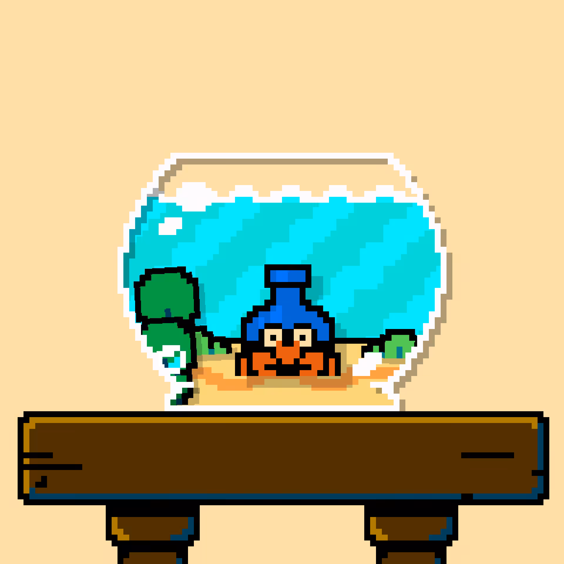 hermit crab #27