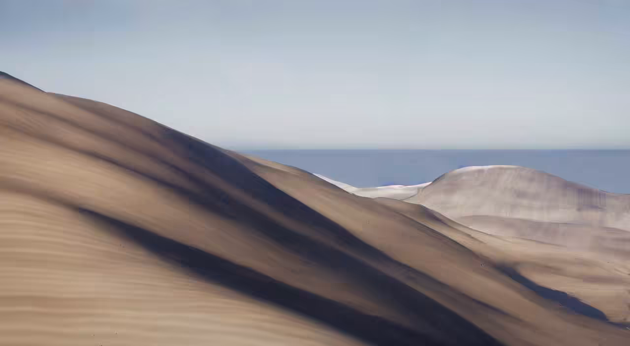 Milo Poelman - Landscape 2 - Grid
