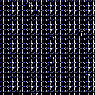 CGA Safari #241