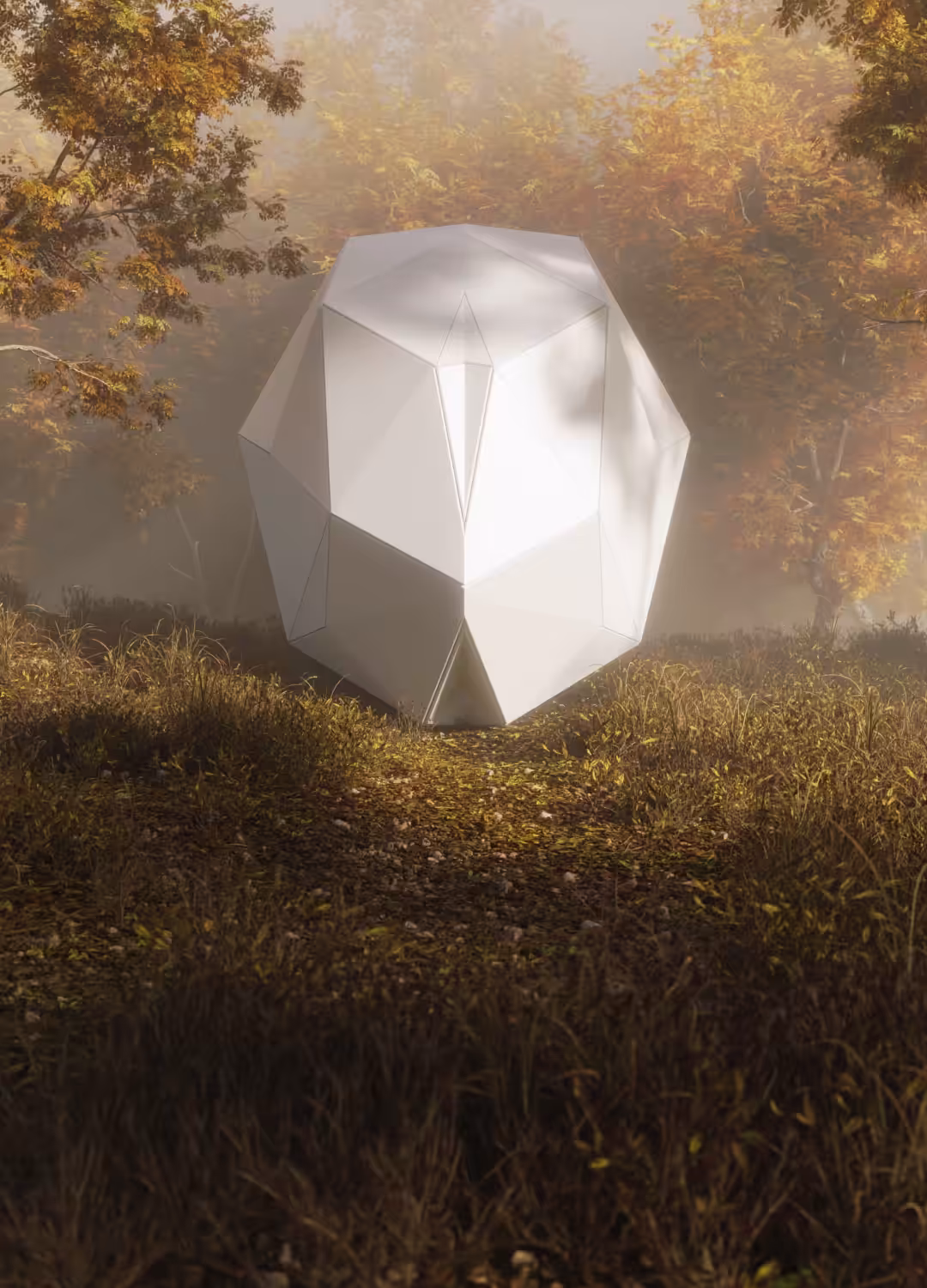 shape_theory_001 Arrival