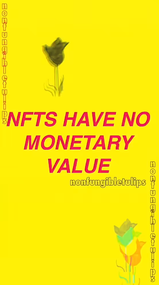 Non Fungible Tulips: TULIPMANIA #9: NFTS HAVE NO MONETARY VALUE (TEXT)
