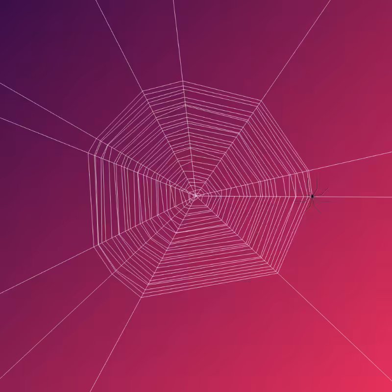 Weaving Spiders #16