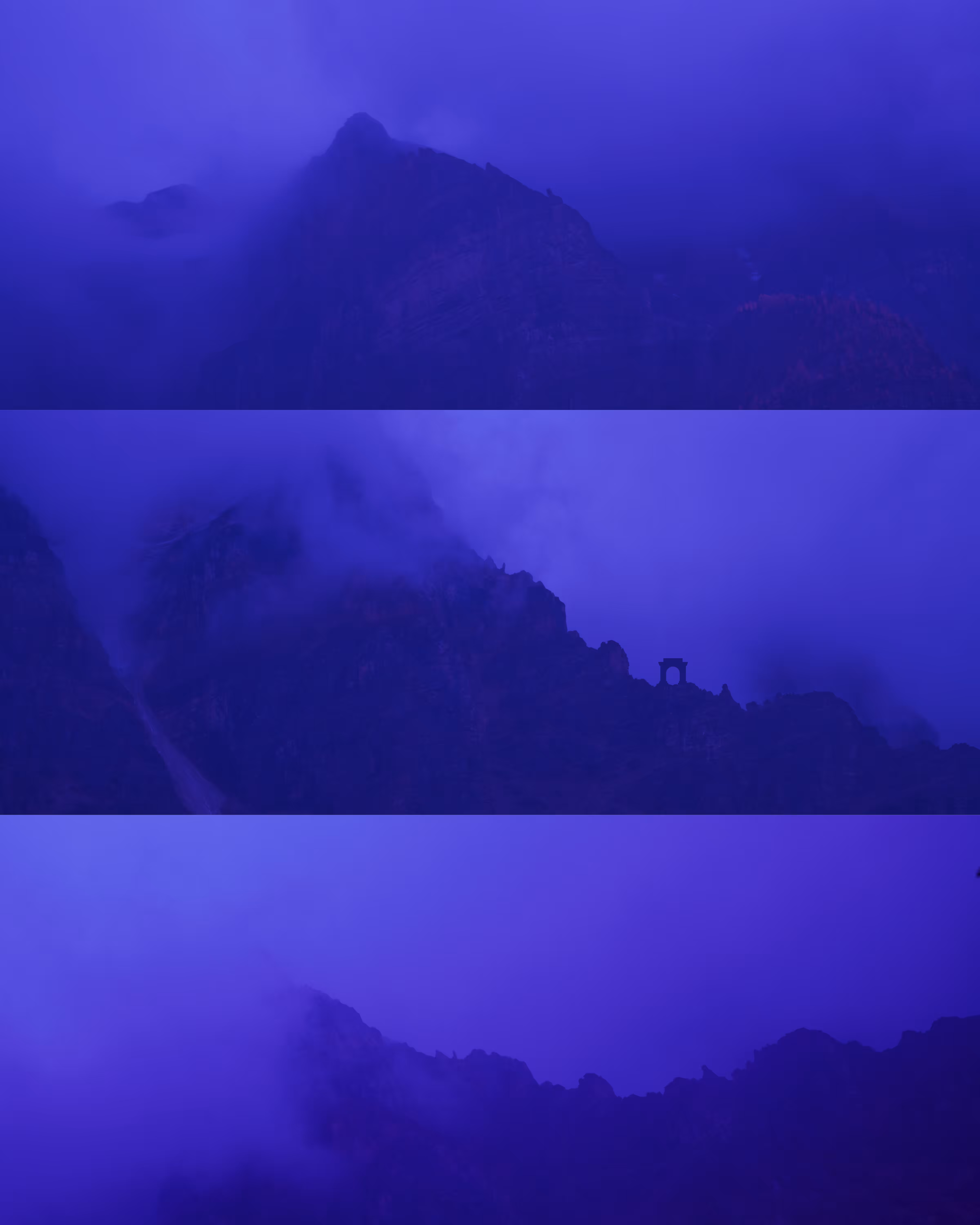 purple invasion