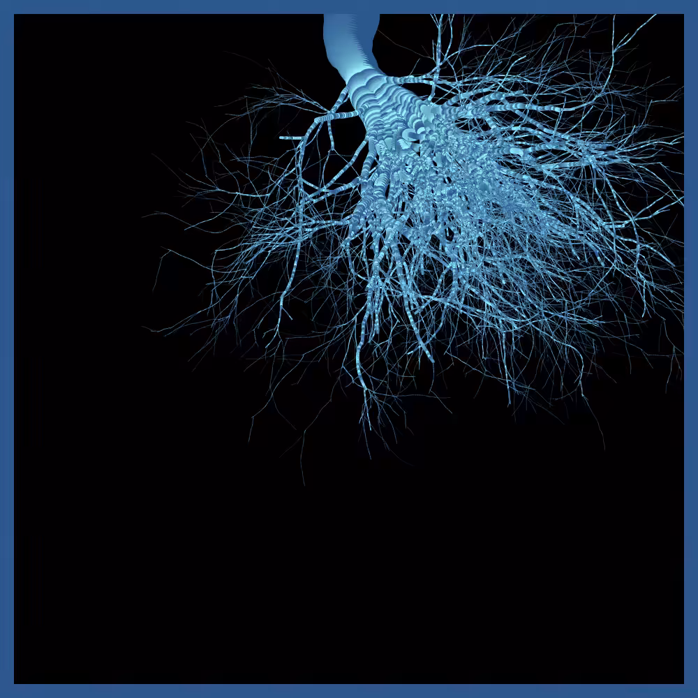 Arbres suspendus #62